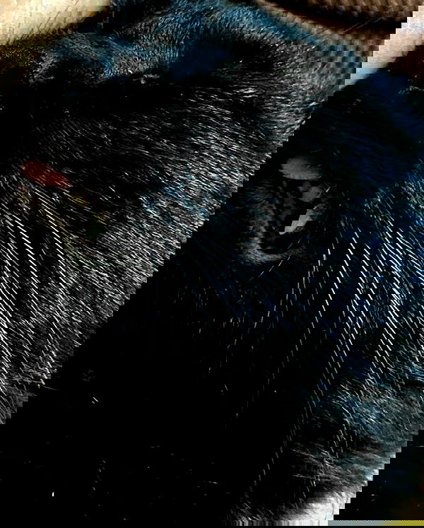 mishel116 mishel116 archive image