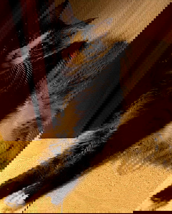 mishel116 mishel116 archive image