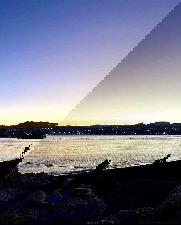 mishel116 mishel116 archive image