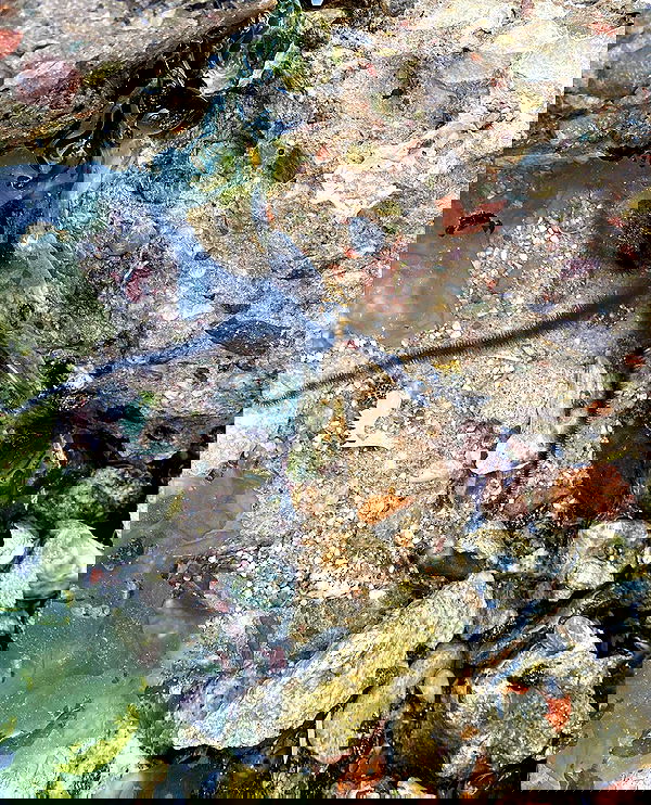 mishel116 mishel116 archive image