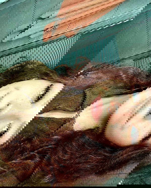 mishel116 mishel116 archive image