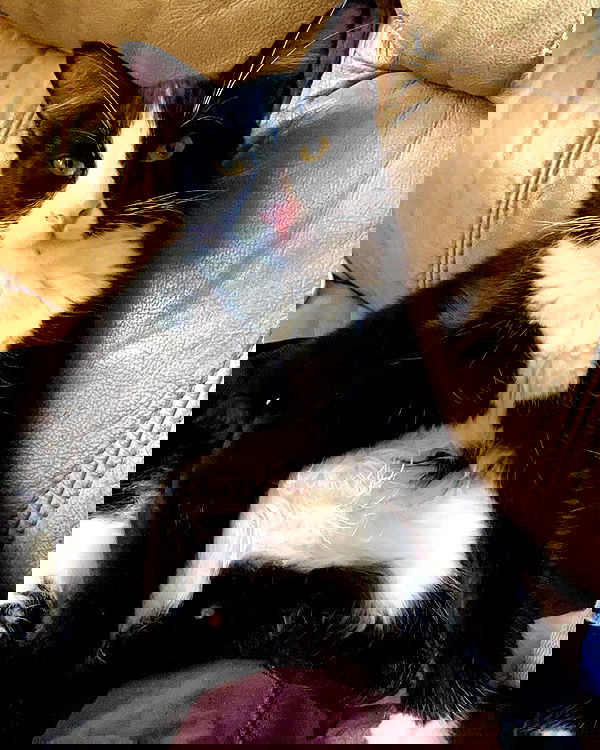 mishel116 mishel116 archive image