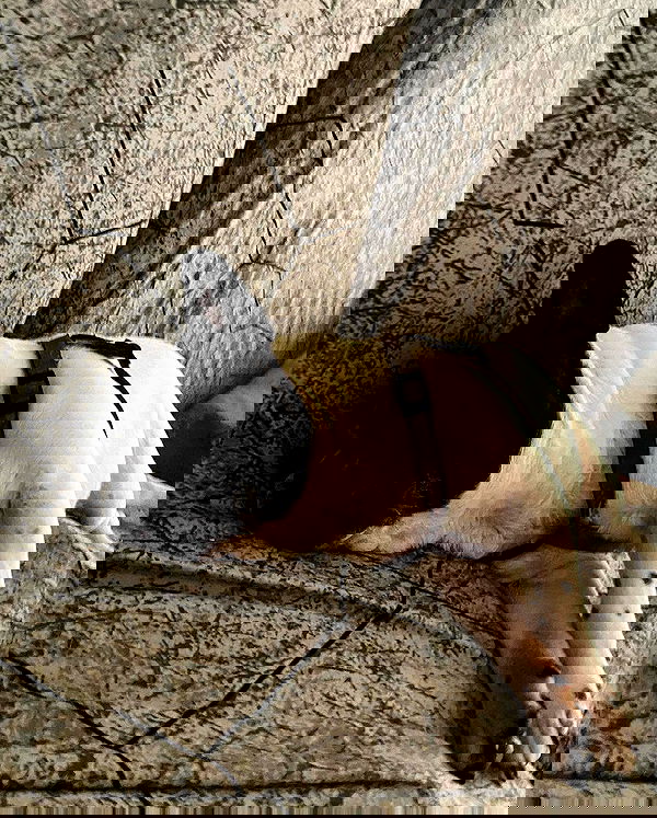 mishel116 mishel116 archive image