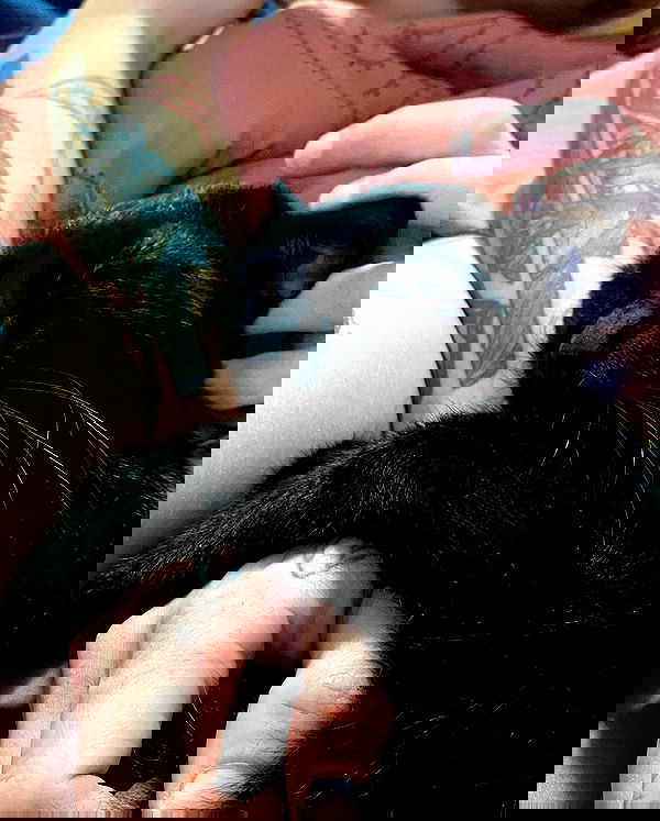 mishel116 mishel116 archive image