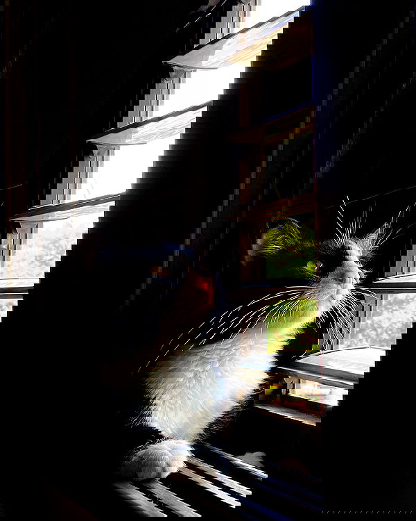 mishel116 mishel116 archive image