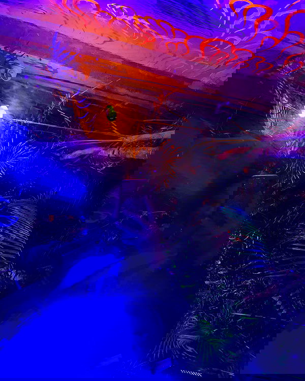 mishel116 mishel116 archive image