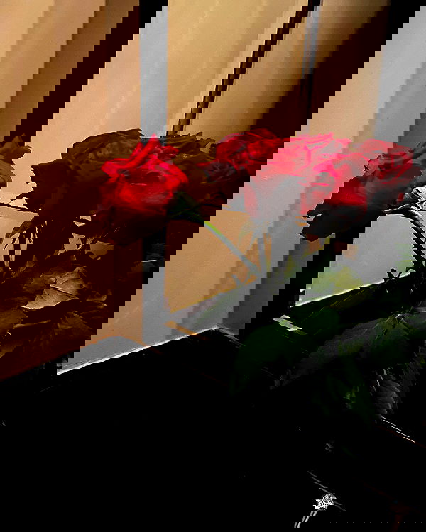 mishel116 mishel116 archive image