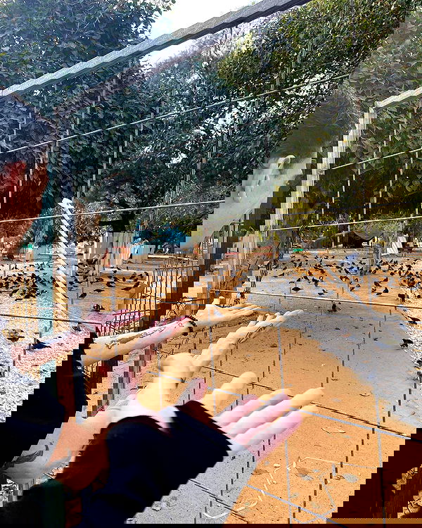 mishel116 mishel116 archive image