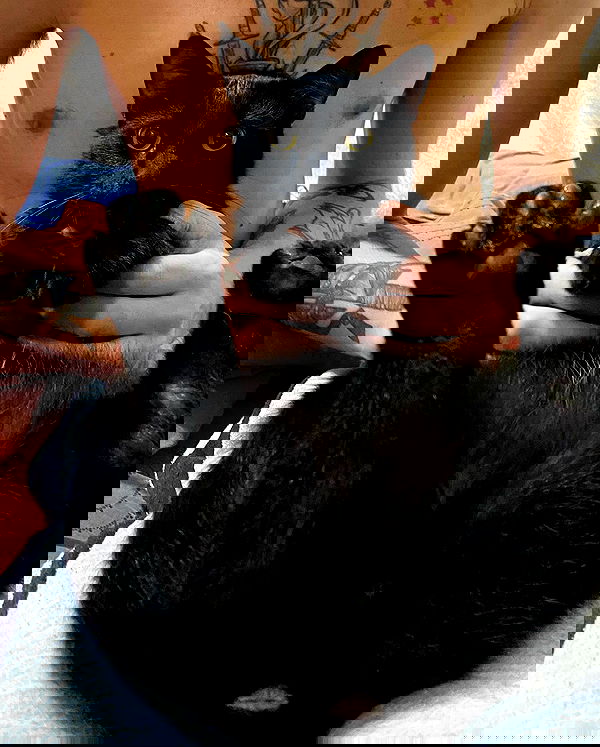 mishel116 mishel116 archive image