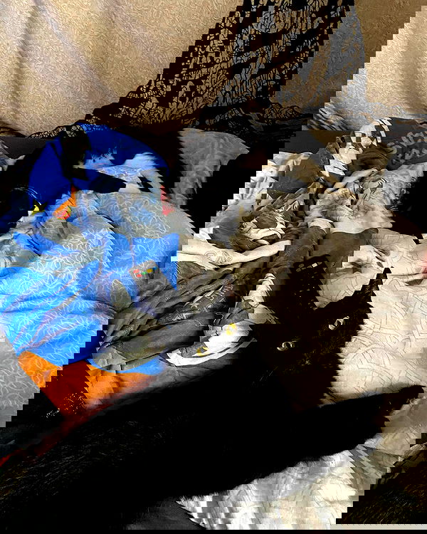 mishel116 mishel116 archive image