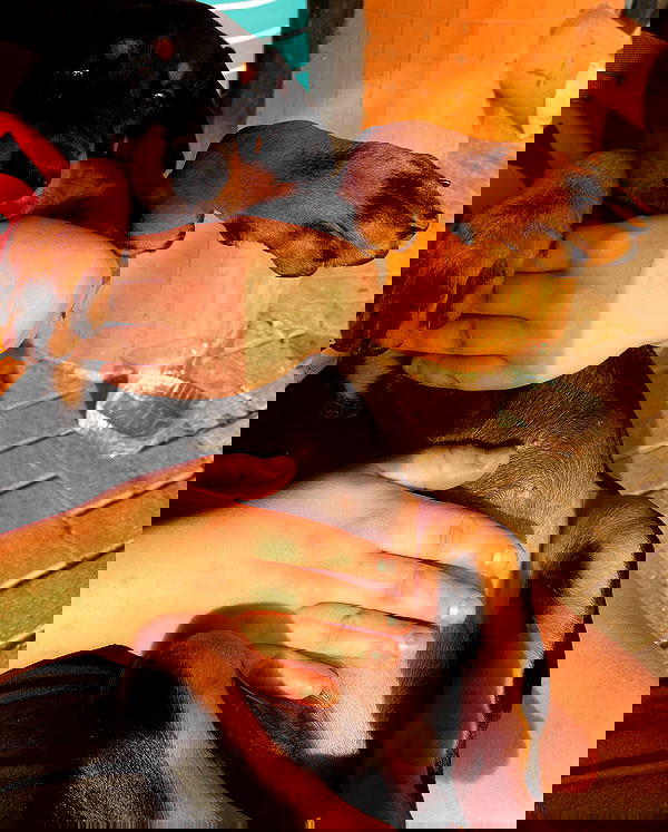 mishel116 mishel116 archive image