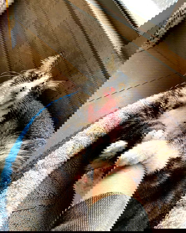 mishel116 mishel116 archive image