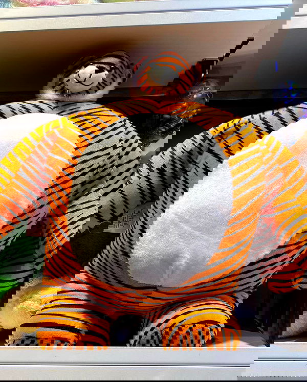 mishel116 mishel116 archive image