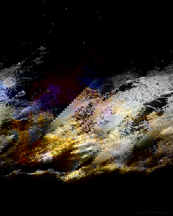 mishel116 mishel116 archive image