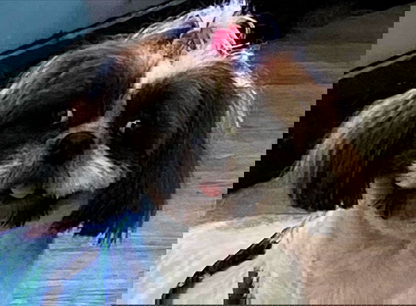 mishel116 mishel116 archive image