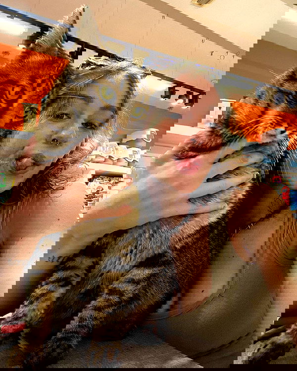 mishel116 mishel116 archive image