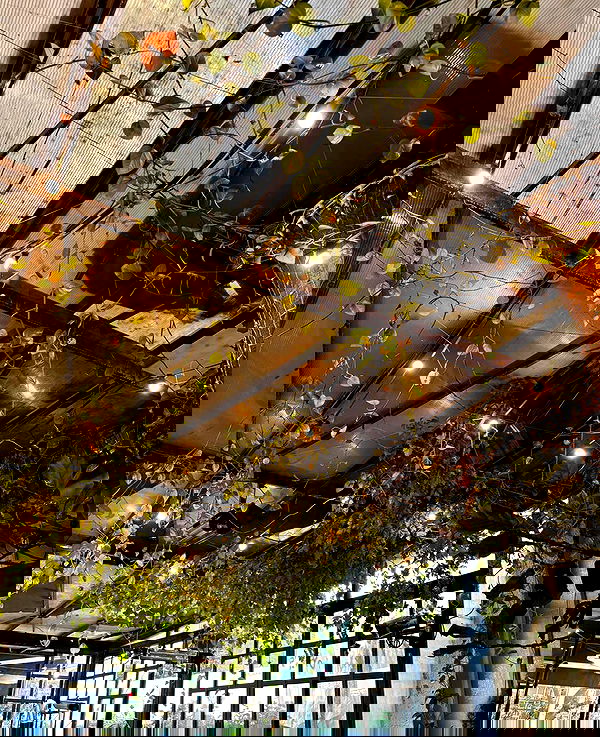 mishel116 mishel116 archive image