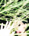 monetzamora_ Altpins Profile Picture