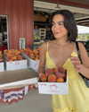 monetzamora_ Altpins Profile Picture