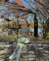 monetzamora_ Altpins Profile Picture