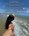 monetzamora_ Altpins Profile Picture