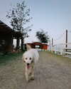 monetzamora_ Altpins Profile Picture