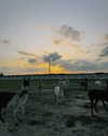 monetzamora_ Altpins Profile Picture