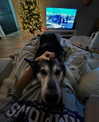 monetzamora_ Altpins Profile Picture