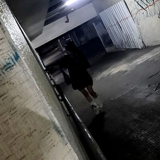 moonliliaght moonliliaght archive image