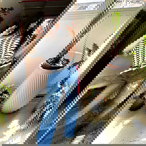 moonliliaght moonliliaght archive image