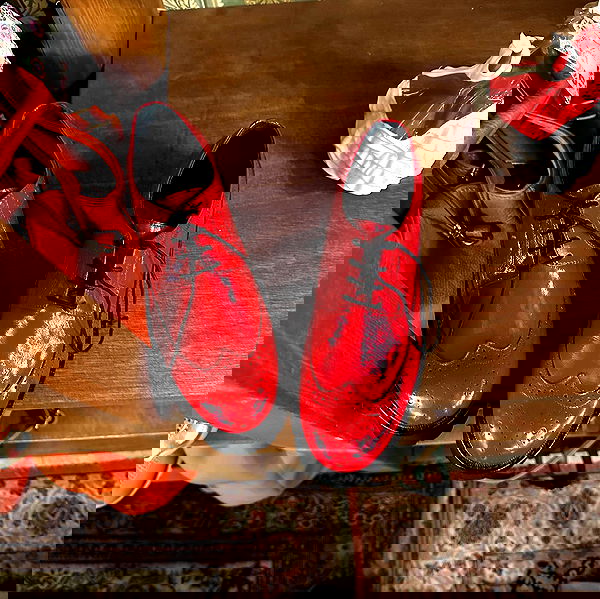 moonliliaght moonliliaght archive image