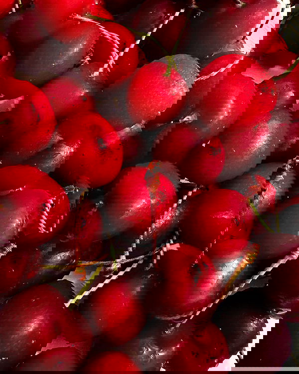 moonliliaght moonliliaght archive image