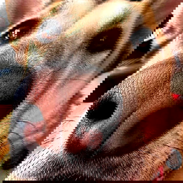 moonliliaght moonliliaght archive image