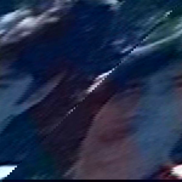 moonliliaght moonliliaght archive image