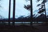 morguemuscle Altpins Profile Picture