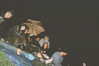morguemuscle Altpins Profile Picture