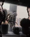 morguemuscle Altpins Profile Picture