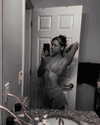 morguemuscle Altpins Profile Picture
