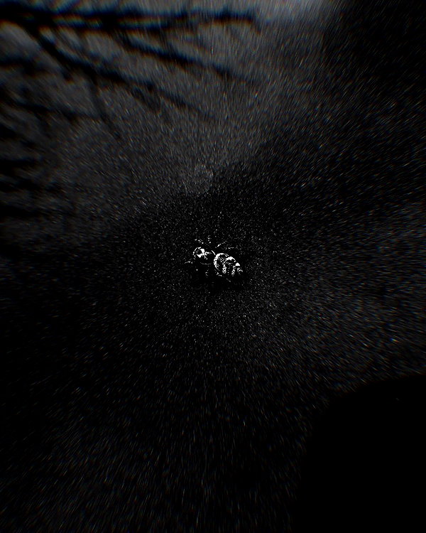 morguemuscle instagram image archive image
