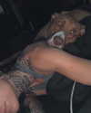 morguemuscle Altpins Profile Picture