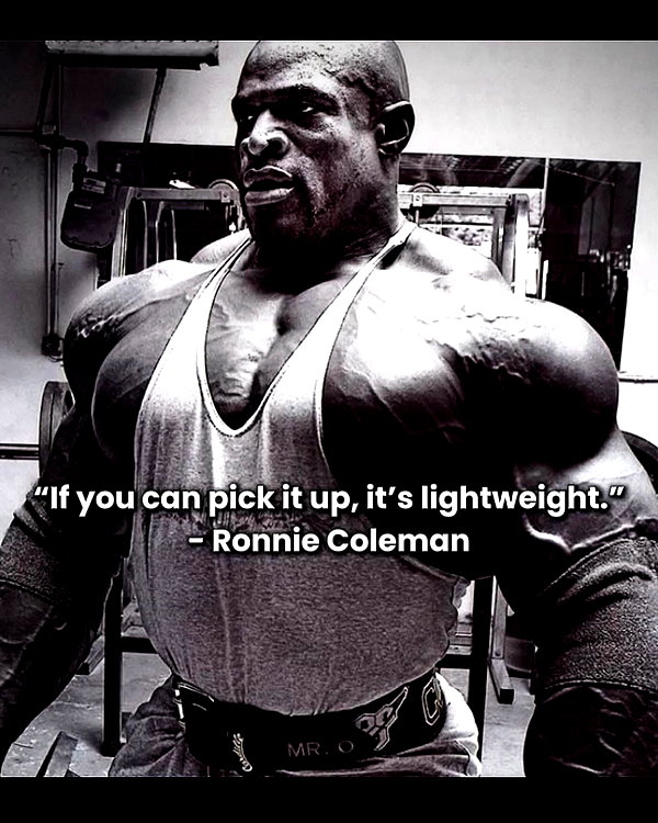 morguemuscle instagram image archive image