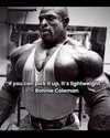 morguemuscle Altpins Profile Picture