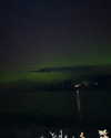 morguemuscle Altpins Profile Picture