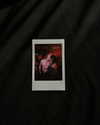 morguemuscle Altpins Profile Picture