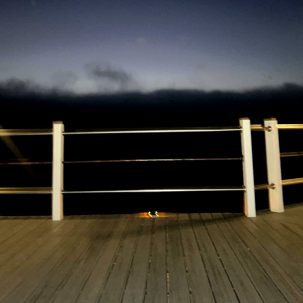 moyers_eveliin instagram image archive image