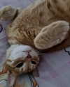 mshflop Altpins Profile Picture