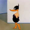 mshflop Altpins Profile Picture
