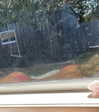 myaaalexis Altpins Profile Picture