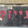 naama_gabbay Altpins Profile Picture