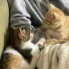 naama_gabbay Altpins Profile Picture